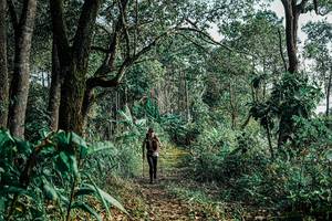 BIB: 
                            <button type="button" onclick="openModal(25660521)" class="btn btn-primary btn-sm float-right btn-popup" data-toggle="modal" data-target=".modal-high-quality">
                        <i class="fas fa-shopping-cart"></i> Add to Cart
                    </button>
                                            <button type="button" onclick="isThisMe(25660521, true)" class="btn btn-success btn-sm float-right btn-popup btn-isme hidden" data-toggle="tooltip" data-placement="bottom" title="นี่คือรูปของคุณใช่ไหม คลิกที่นี่เพื่อเอาเข้าอัลบั้ม">
                        <i class="fas fa-plus"></i> Add to album
                    </button>
                    <button type="button" onclick="isThisMe(25660521, false)" class="btn btn-warning btn-sm float-right btn-popup btn-isnotme hidden">
                        <i class="fas fa-ban"></i> Remove from album
                    </button>